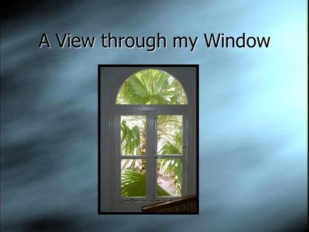 A View through my Window. The window has inspired artists, photographers, architects, and writers throughout the ages.