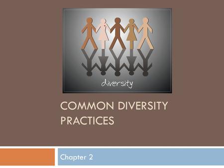 Common Diversity Practices