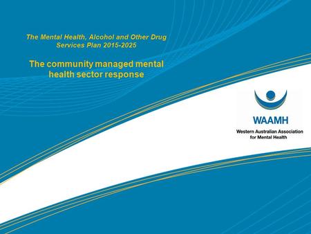 The Mental Health, Alcohol and Other Drug Services Plan 2015-2025 The community managed mental health sector response.