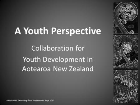 A Youth Perspective Collaboration for Youth Development in Aotearoa New Zealand Amy Lavini: Extending the Conversation, Sept 2012.
