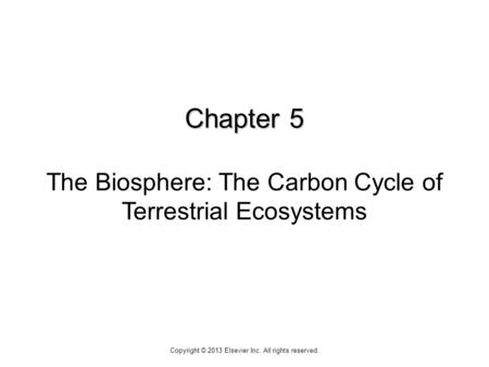 Chapter 5 The Biosphere: The Carbon Cycle of Terrestrial Ecosystems