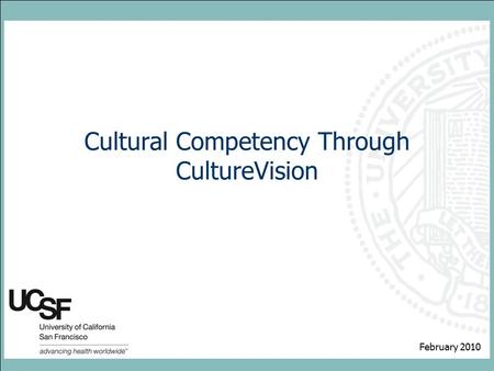 Cultural Competency Through CultureVision February 2010.