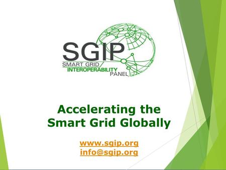 Accelerating the Smart Grid Globally