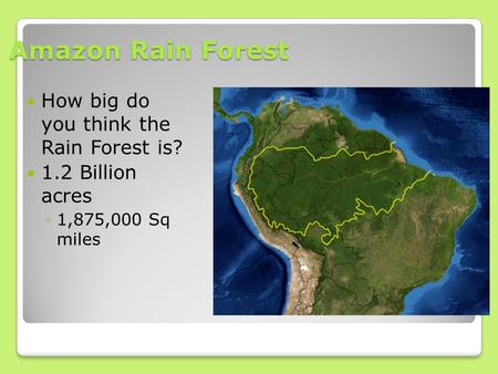 Amazon Rain Forest How big do you think the Rain Forest is? 1.2 Billion acres ◦1,875,000 Sq miles.
