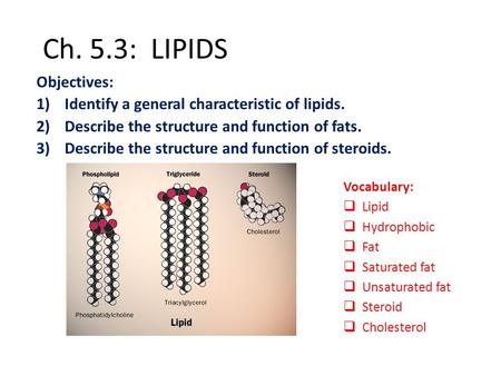 Ch. 5.3: LIPIDS Objectives: