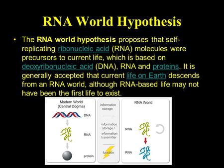 RNA World Hypothesis The RNA world hypothesis proposes that self-replicating ribonucleic acid (RNA) molecules were precursors to current life, which is.