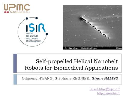 Self-propelled Helical Nanobelt Robots for Biomedical Applications Gilgueng HWANG, Stéphane REGNIER, Sinan HALIYO