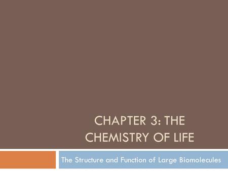 CHAPTER 3: THE CHEMISTRY OF LIFE The Structure and Function of Large Biomolecules.