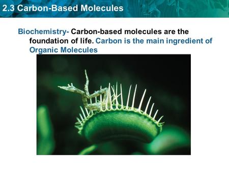 Biochemistry- Carbon-based molecules are the foundation of life