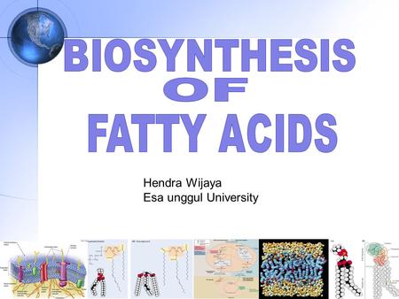 BIOSYNTHESIS OF FATTY ACIDS Hendra Wijaya Esa unggul University.