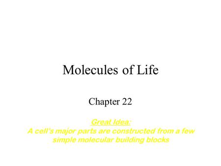 Molecules of Life Chapter 22 Great Idea: