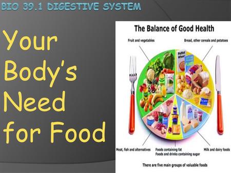 Your Body’s Need for Food
