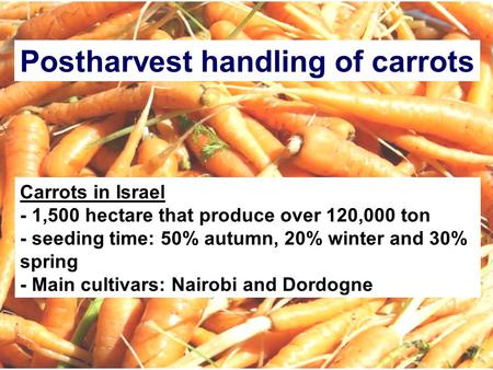 Postharvest handling of carrots Carrots in Israel - 1,500 hectare that produce over 120,000 ton - seeding time: 50% autumn, 20% winter and 30% spring -