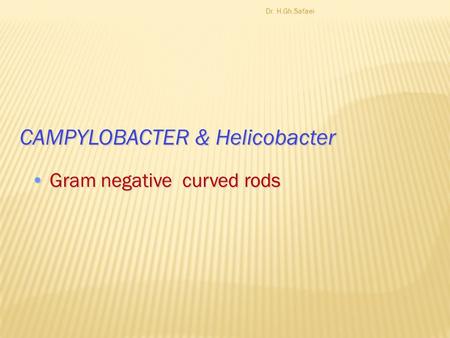 CAMPYLOBACTER & Helicobacter Gram negative curved rods Gram negative curved rods Dr. H.Gh.Safaei.