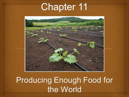 Producing Enough Food for the World.  Will there be enough food??  With human population growing and much of the world’s arable land being used, how.