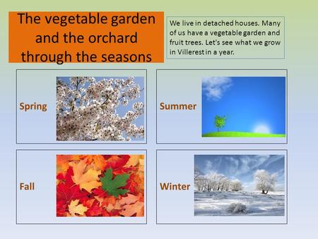 WinterFall Summer The vegetable garden and the orchard through the seasons Spring We live in detached houses. Many of us have a vegetable garden and fruit.