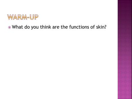  What do you think are the functions of skin?. Chapter 5.