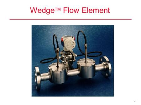Wedge Flow Element 1.