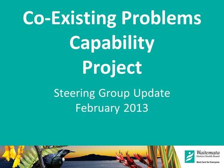 Co-Existing Problems Capability Project Steering Group Update February 2013.