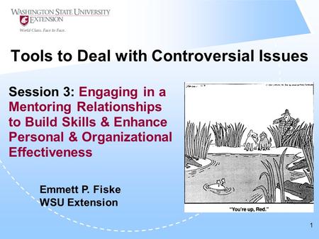 1 Tools to Deal with Controversial Issues Session 3: Engaging in a Mentoring Relationships to Build Skills & Enhance Personal & Organizational Effectiveness.