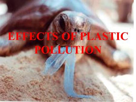 EFFECTS OF PLASTIC POLLUTION. B. KALYANI S. NIHARIKA.