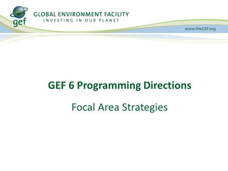GEF 6 Programming Directions Focal Area Strategies.