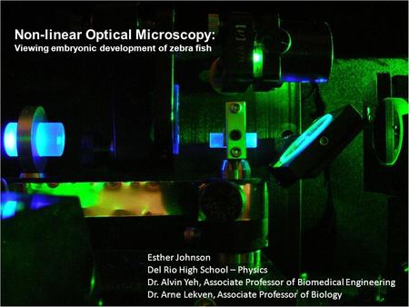 Non-linear Optical Microscopy: Viewing embryonic development of zebra fish Esther Johnson Del Rio High School – Physics Dr. Alvin Yeh, Associate Professor.