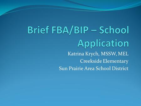 Brief FBA/BIP – School Application