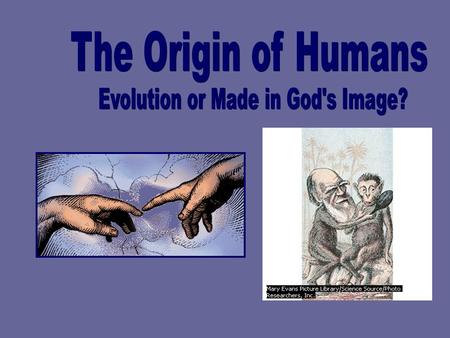 Evolution or Made in God's Image?