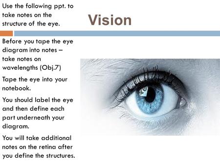 Vision Use the following ppt. to take notes on the structure of the eye. Before you tape the eye diagram into notes – take notes on wavelengths (Obj.7)