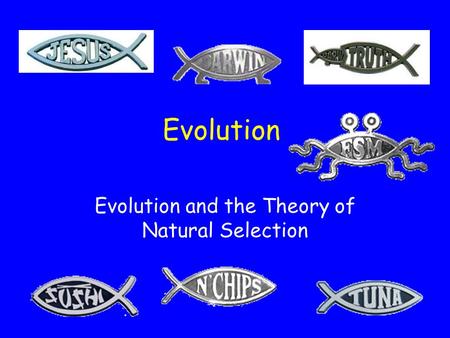 Evolution and the Theory of Natural Selection What is Evolution? The change in gene frequencies in a population over time.