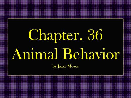 Chapter. 36 Animal Behavior by Jazzy Moses. Vocab. Proximate causation- explanation of the functioning of a biological system at a particular time and.