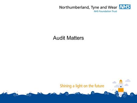 Audit Matters. Three matters to consider:  Annual Management Letter.  External Auditor Performance and Fees.  Change of Audit Firm for 2012/13 audit.
