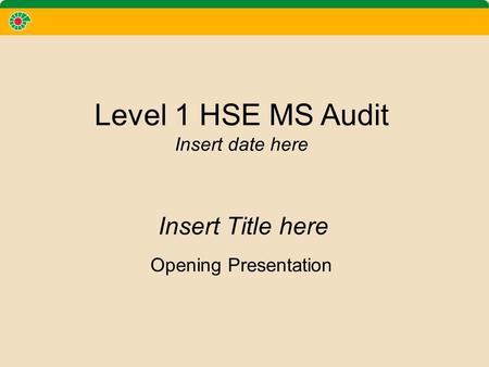 Level 1 HSE MS Audit Insert date here Opening Presentation Insert Title here.