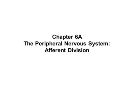 The Peripheral Nervous System: Afferent Division