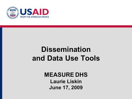 Dissemination and Data Use Tools MEASURE DHS Laurie Liskin June 17, 2009.