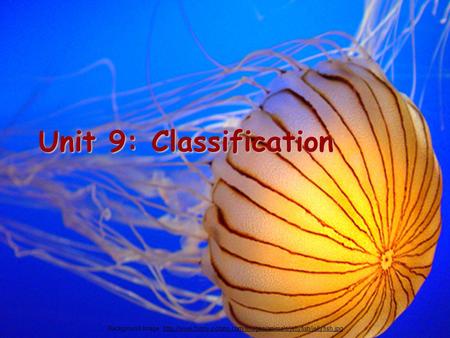 Unit 9: Classification Background Image: http://www.funny-potato.com/images/animals/jellyfish/jellyfish.jpg.