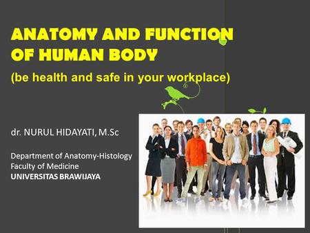 ANATOMY AND FUNCTION OF HUMAN BODY (be health and safe in your workplace) dr. NURUL HIDAYATI, M.Sc Department of Anatomy-Histology Faculty of Medicine.