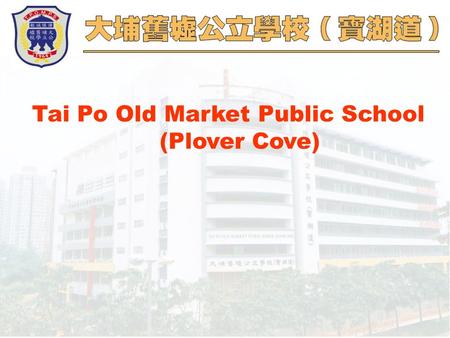 Tai Po Old Market Public School (Plover Cove). Using readers as the organizing focus for curriculum planning 04.12.2004.