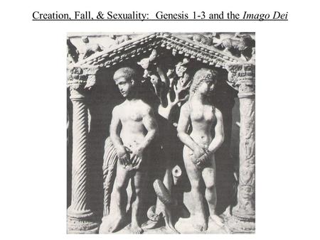 Creation, Fall, & Sexuality: Genesis 1-3 and the Imago Dei.