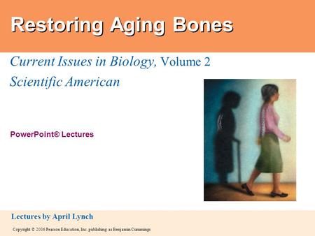 Copyright © 2006 Pearson Education, Inc. publishing as Benjamin Cummings PowerPoint® Lectures Lectures by April Lynch Restoring Aging Bones Current Issues.