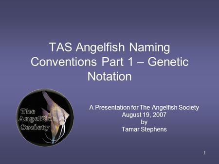 1 TAS Angelfish Naming Conventions Part 1 – Genetic Notation A Presentation for The Angelfish Society August 19, 2007 by Tamar Stephens.