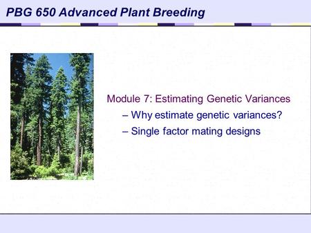 Module 7: Estimating Genetic Variances – Why estimate genetic variances? – Single factor mating designs PBG 650 Advanced Plant Breeding.