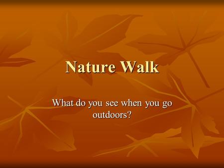Nature Walk What do you see when you go outdoors?.