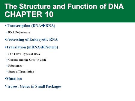 The Structure and Function of DNA CHAPTER 10 Transcription (DNA  RNA) RNA Polymerase Processing of Eukaryotic RNA Translation (mRNA  Protein) The Three.