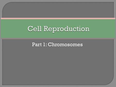Cell Reproduction Part 1: Chromosomes.