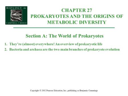 Copyright © 2002 Pearson Education, Inc., publishing as Benjamin Cummings Section A: The World of Prokaryotes 1.They’re (almost) everywhere! An overview.