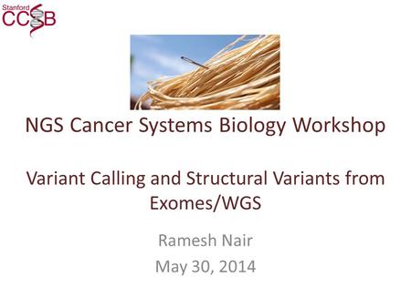 NGS Cancer Systems Biology Workshop Variant Calling and Structural Variants from Exomes/WGS Ramesh Nair May 30, 2014.