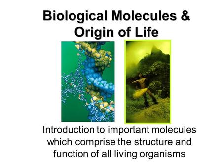 Biological Molecules & Origin of Life Introduction to important molecules which comprise the structure and function of all living organisms.
