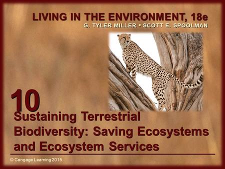 10 Sustaining Terrestrial Biodiversity: Saving Ecosystems and Ecosystem Services.